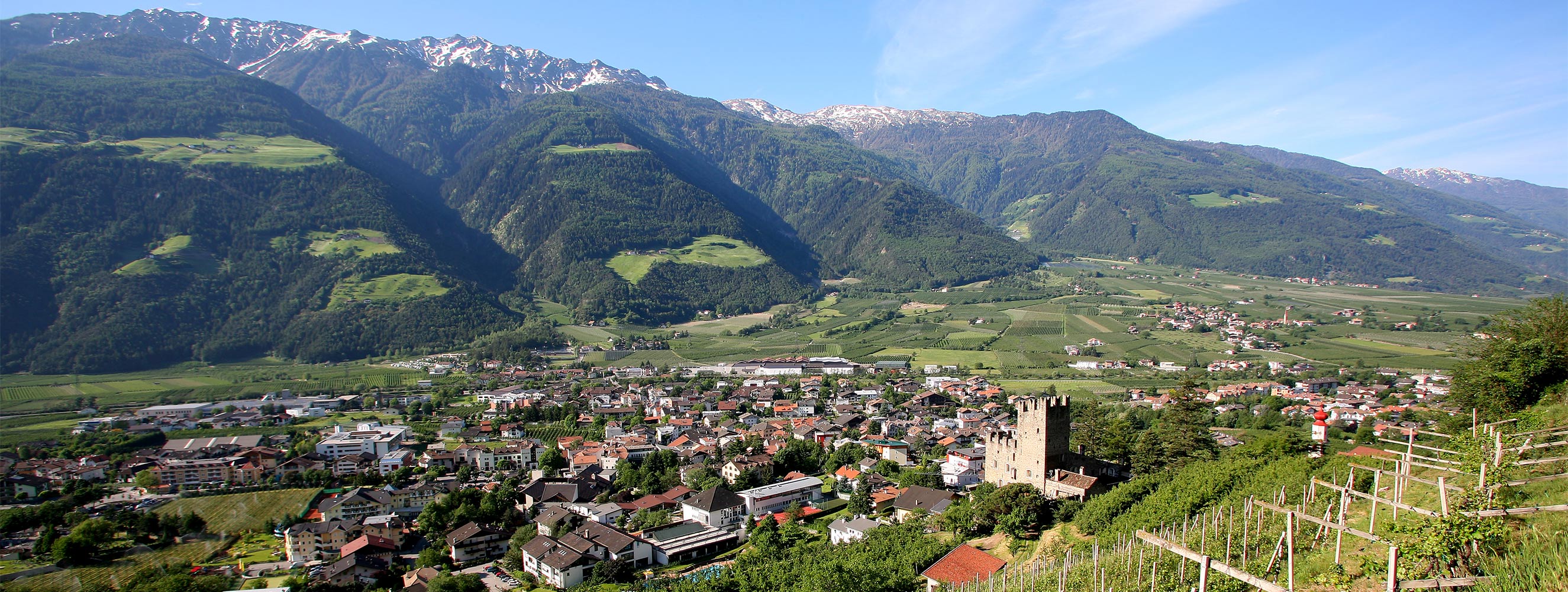 Ferienwohnungen Grüner